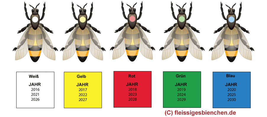 Zeichenlack 1 Jahresfarbe Weiß mit Zeichen-Netz für Bienenköniginnen Zeichenlack 1 Jahresfarbe Weiß mit Zeichen-Netz für Bienenköniginnen