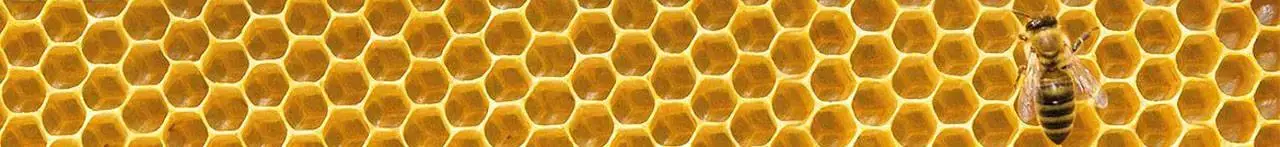 Bienenwabe vom fleissigesbienchen.de