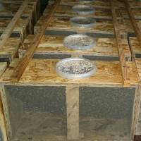 Kunstschwarm ca. 1,5 kg Bienen in der Reihenfolge der Bestellungen Buckfast