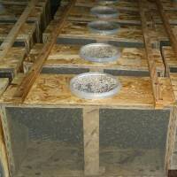 Kunstschwarm ca. 1,5 kg Bienen in der Reihenfolge der Bestellungen ohne Königin