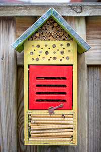 Haus für Wildbienen